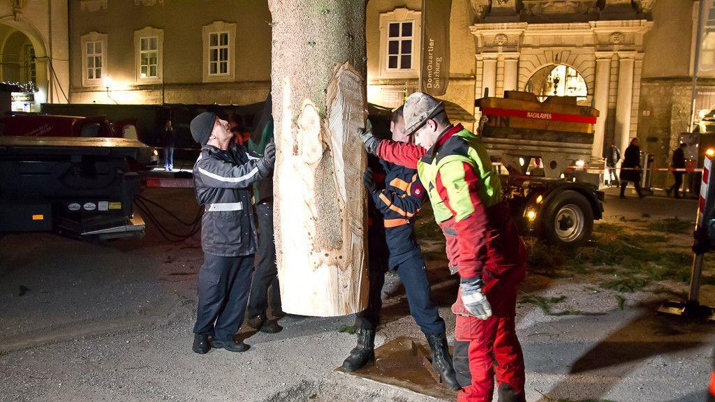 Christbaum ist angekommen