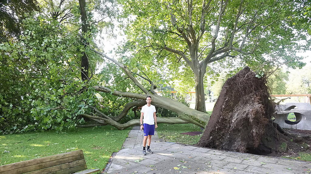 lepi unwetter schäden