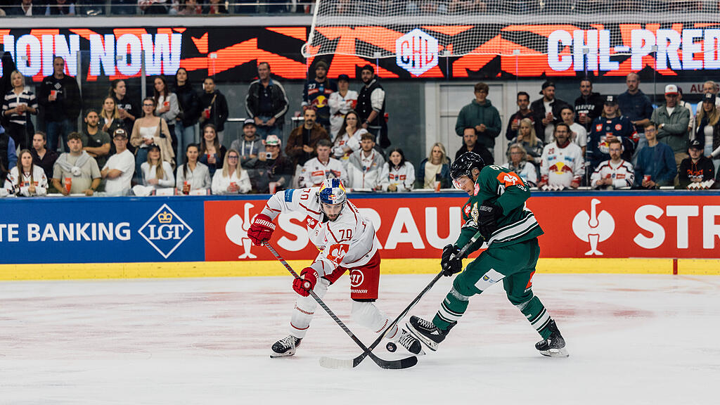 Champions Hockey League CHL : EC Red Bull Salzburg vs. GKS Tychy