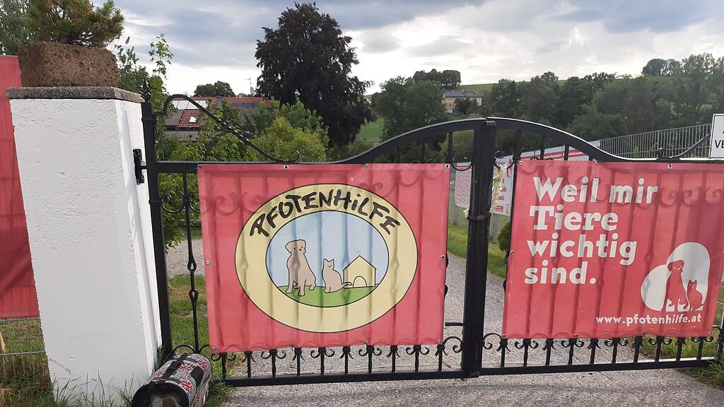 Kaninchen ausgesetzt