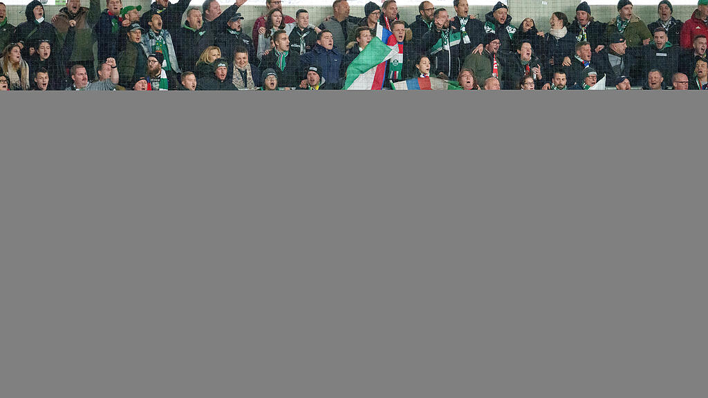 Rapid Fans