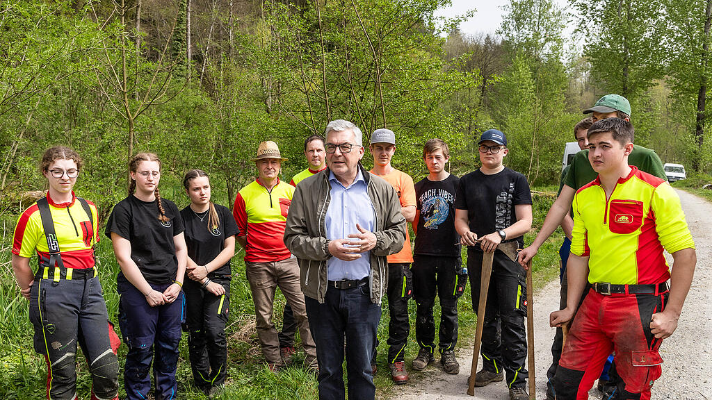 Erhalt von Auwald