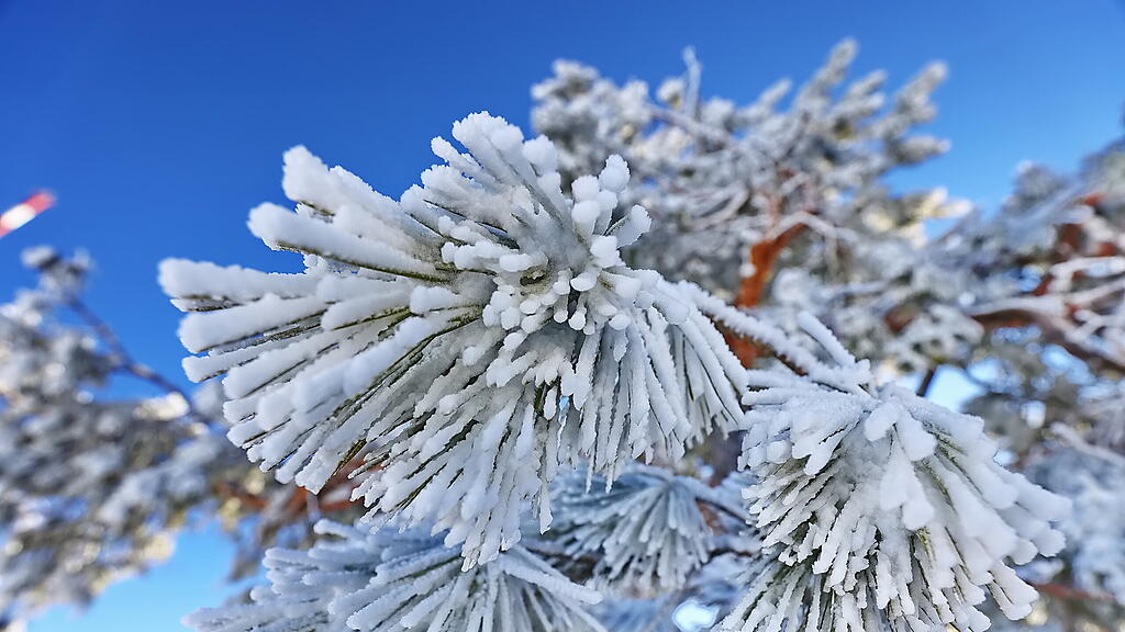 Wanderung über verschneiten Gaisberg