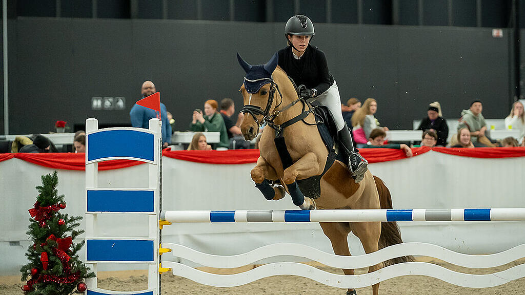 Amadeus Horse Indoors 2023