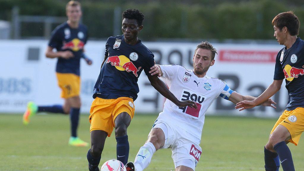 SC Wiener Neustadt - FC Liefering
