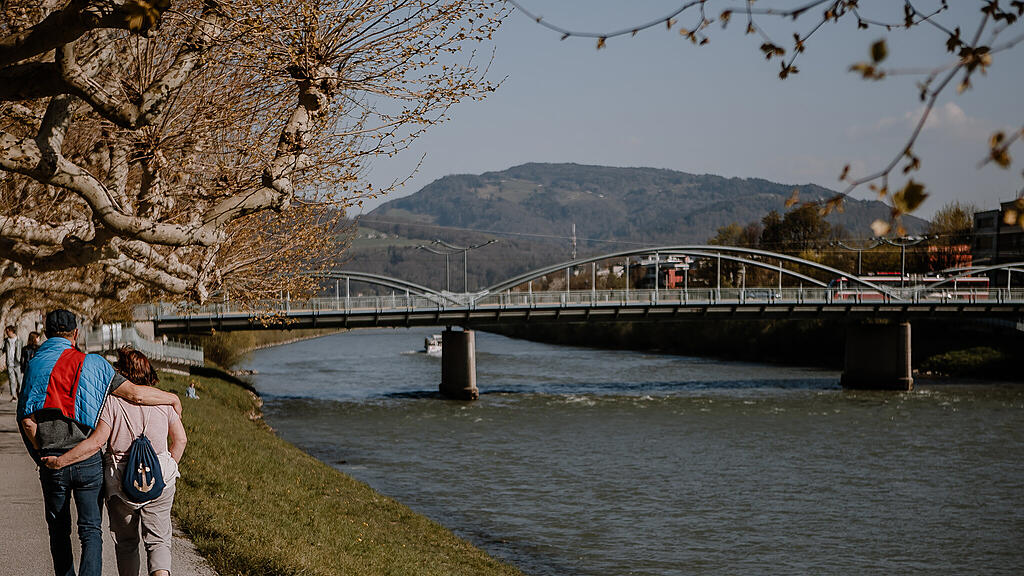 SB, Tulpen, Volksgarten, Fr\u00fchling