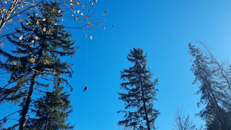 Forstunfall in Kuchl fordert Schwerverletzten