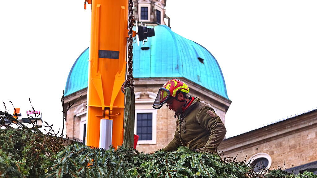 Baum am Christkindlmarkt eingetroffen II
