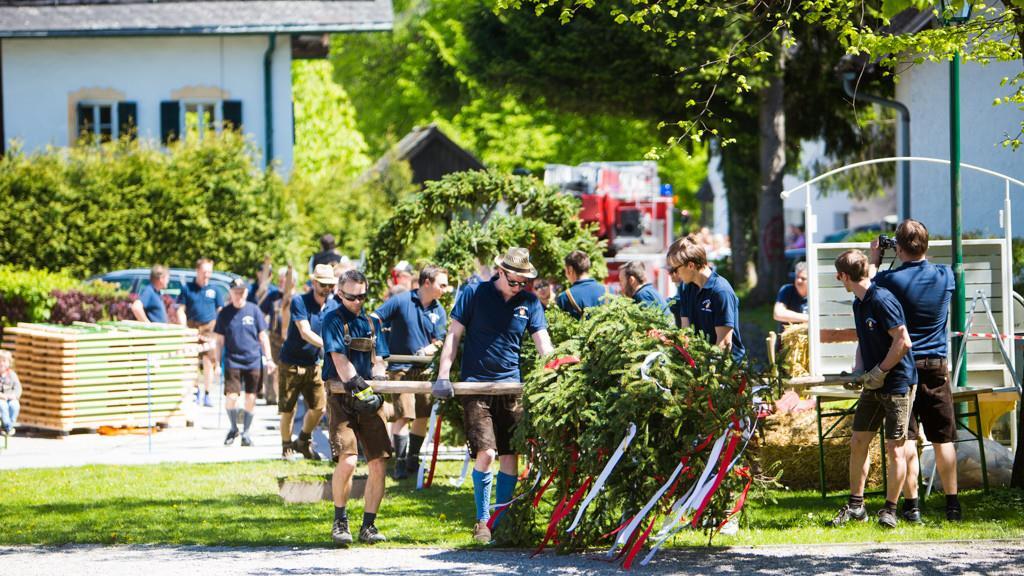 Maibaum in Anif