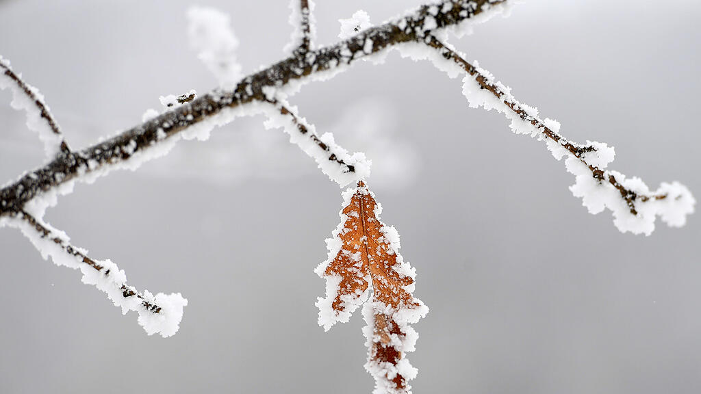 Winter, SB