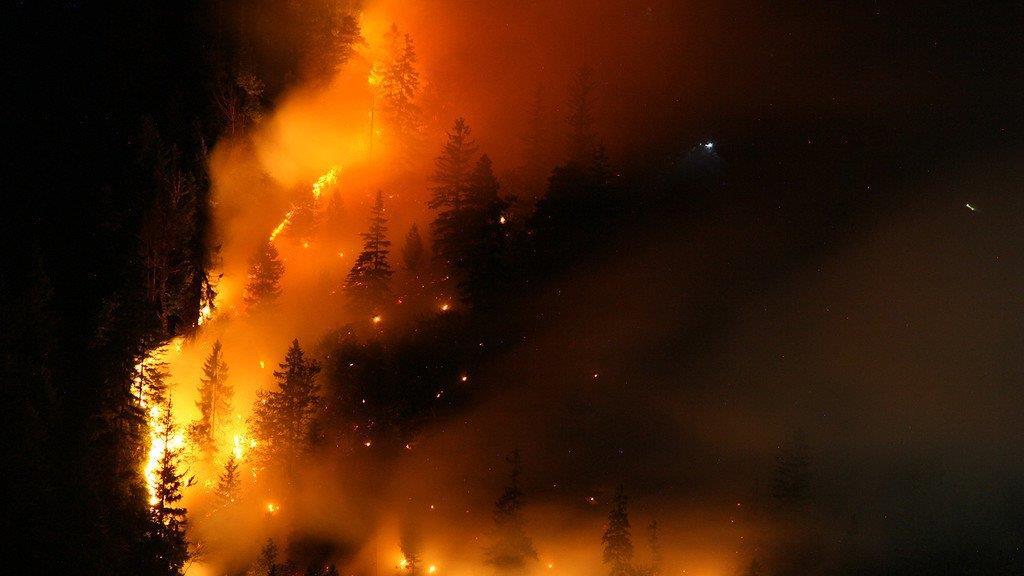 Waldbrand am Thumsee, III