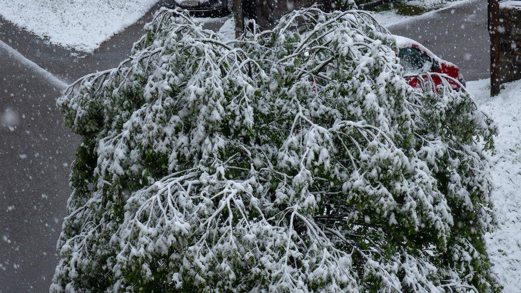 Schnee in Bad Gastein