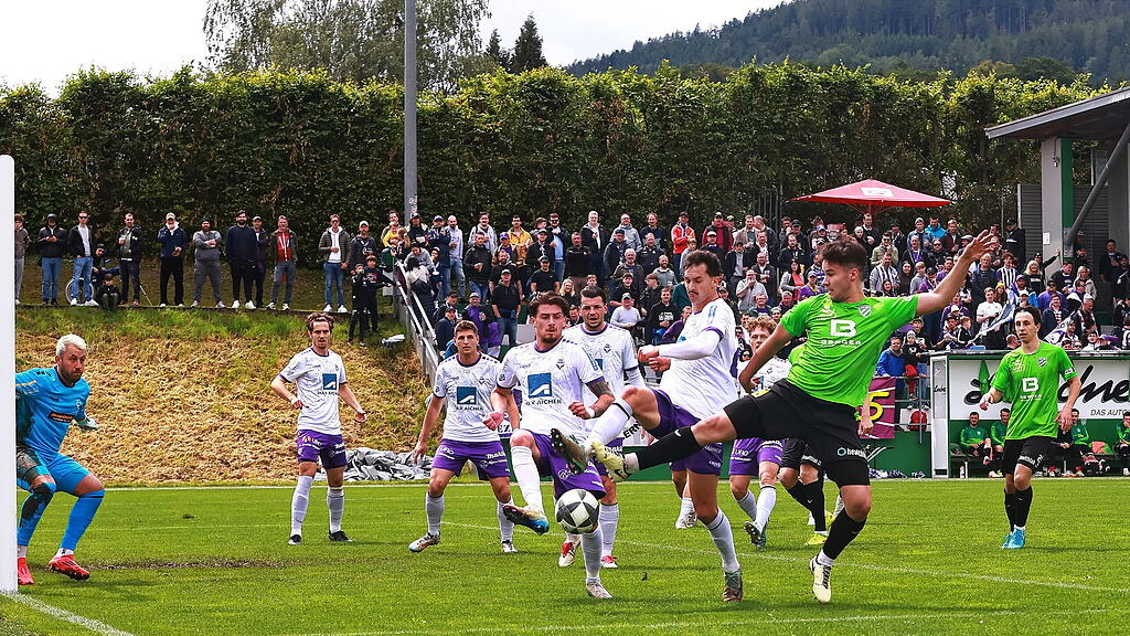 Regionalliga West: Wals-Grünau gegen Austria Salzburg