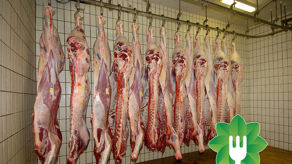 vegan-fleischkonsum.jpg