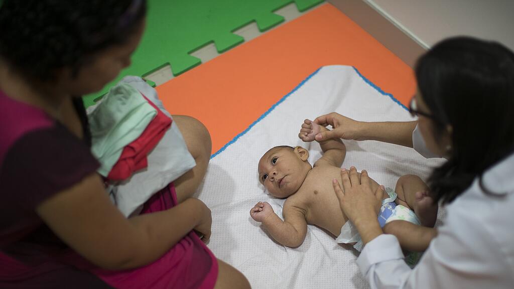 Zika-Virus ist vor allem für ungeborene Babys gefährlich.