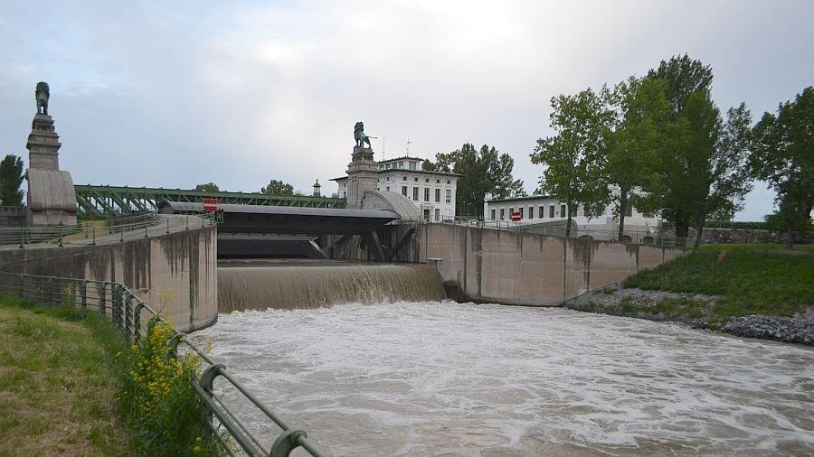 Leserreporter: Hochwasser in Wien-Döbling (Donau bei Nussdorf)
