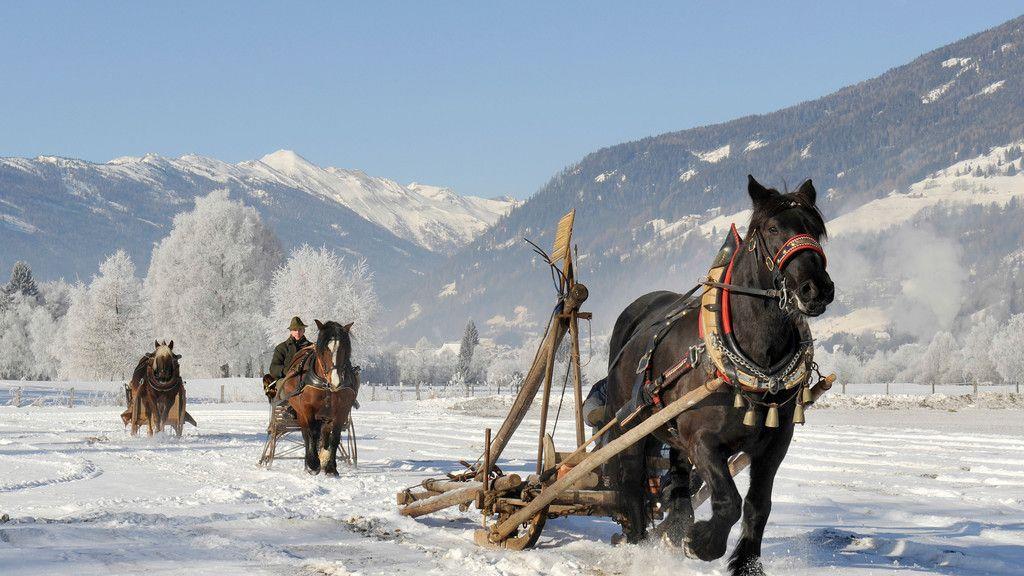 Historische Pferdegespanne im Lungau
