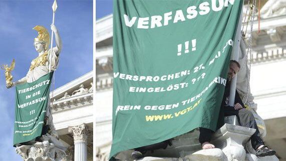 Der VGT kletterte für den Tierschutz auf die Statue vor dem Wiener Parlament.
