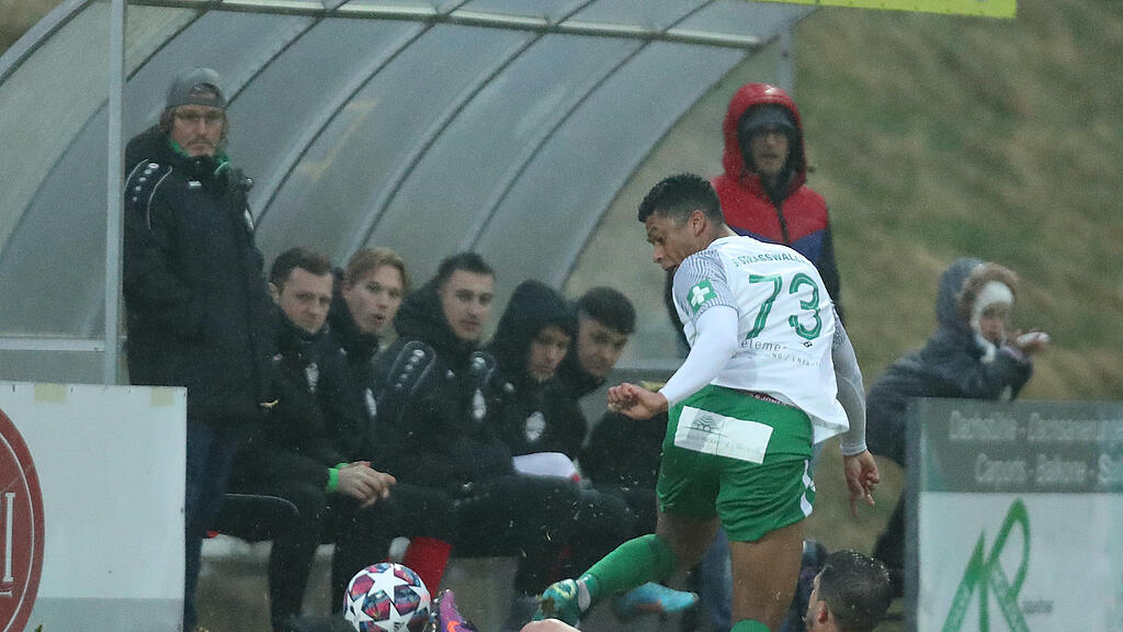 Straßwalchen, UFC Hallein, Salzburger Liga