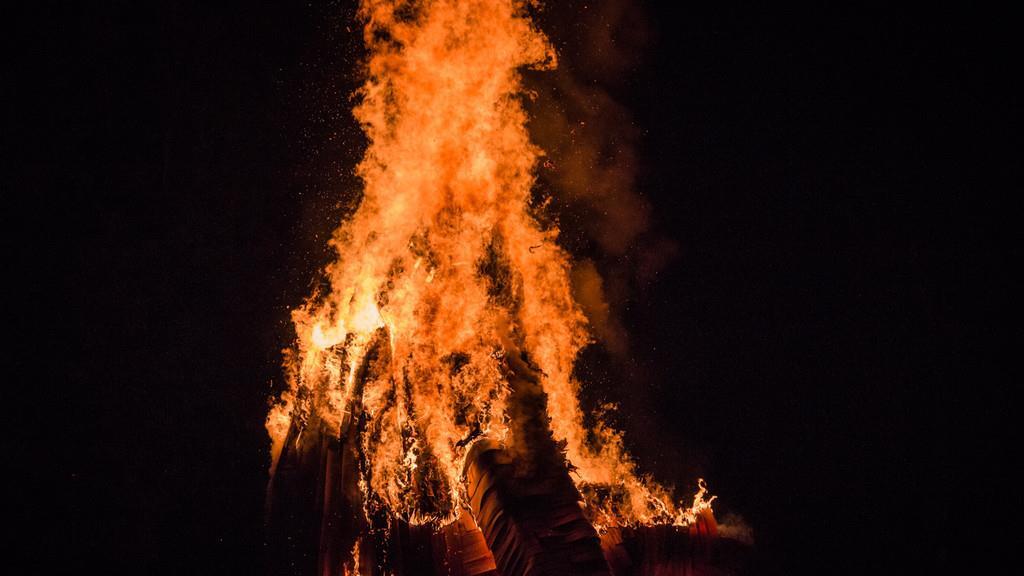 Burning Animal II