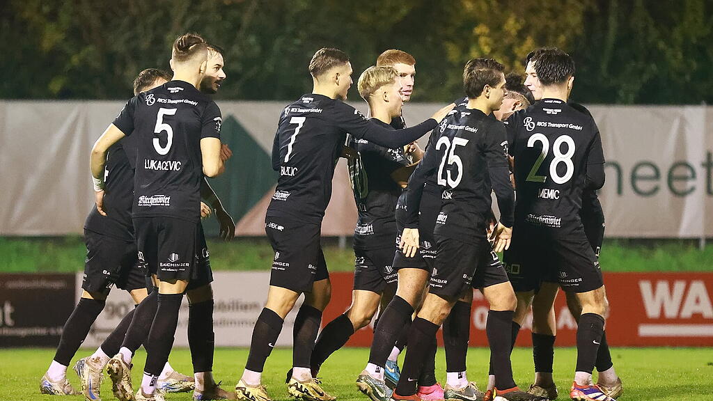 Salzburger Liga, Puch, SaLi, SL