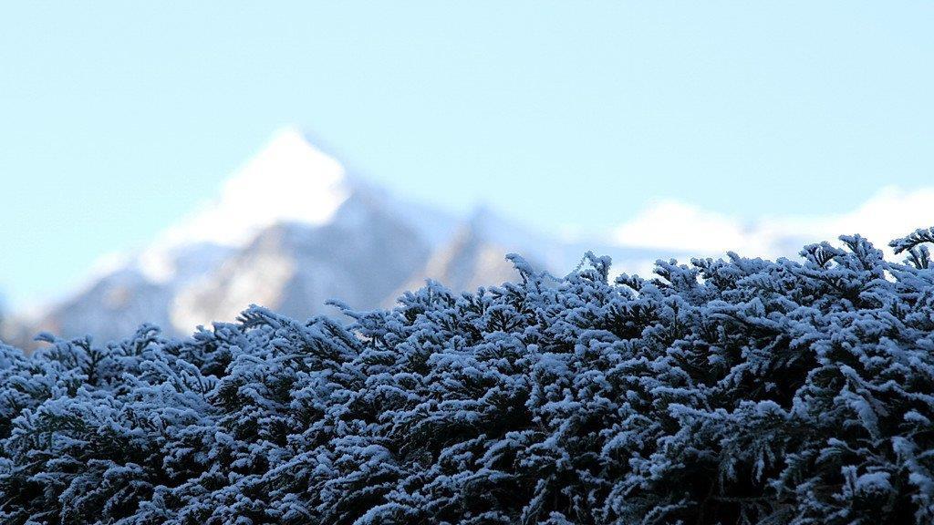 Frost am Morgen