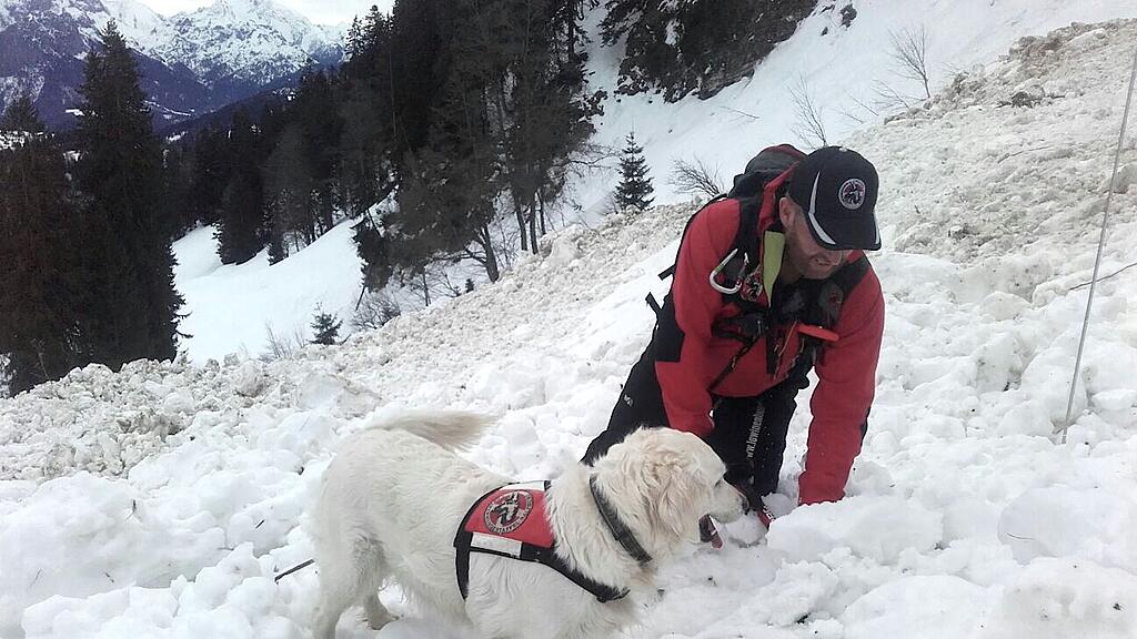Die Lawinenhunde konnte auf einer echte Lawine üben.