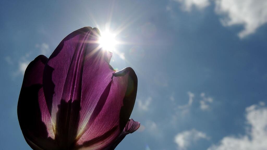 Die Sonne kämpft sich im Laufe der Woche durch (Symbolbild).