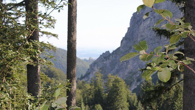 Wanderung zur Bischofsfellnalm