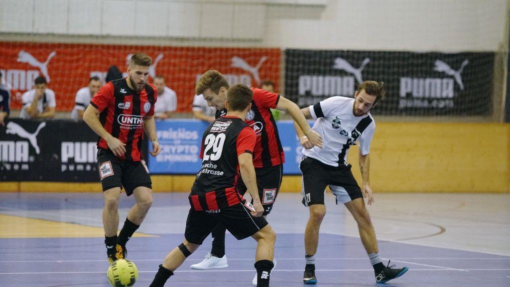 Stier-Finale