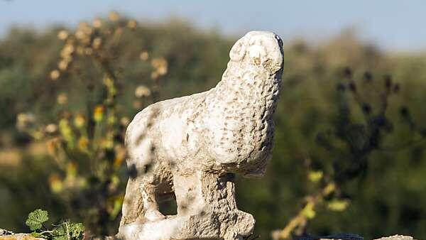 Widder-Statue von Archäologen in Israel gefunden