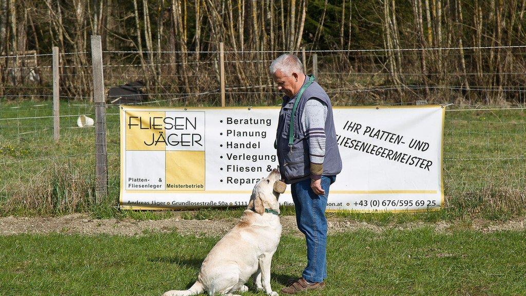 "Der gelbe Hund" in Nußdorf