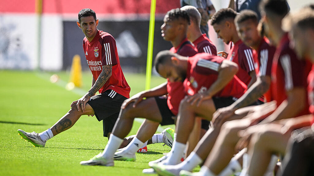 Roger Schmidt, Benfica Lissabon