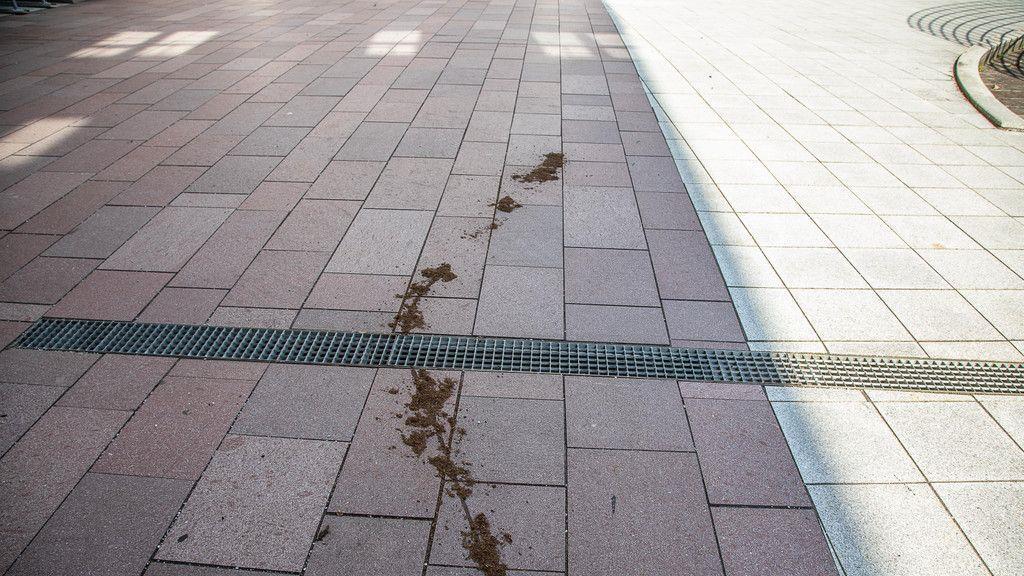 Eingang beim Finanzamt verwüstet