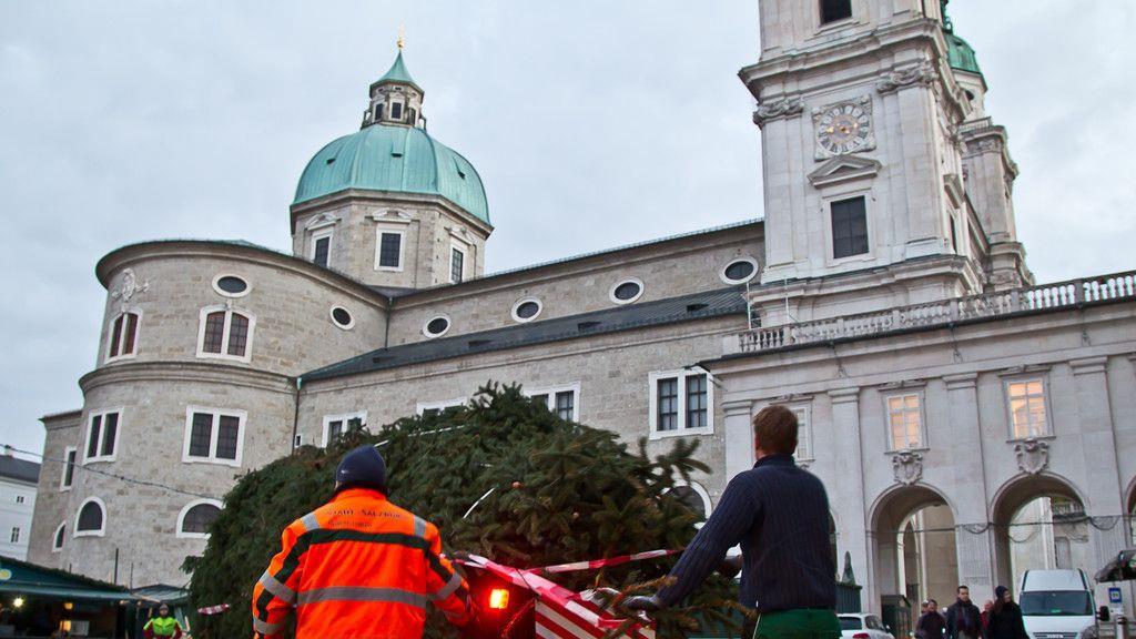 Christbaum ist angekommen