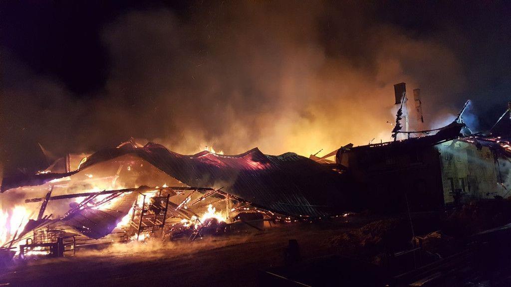Großbrand bei Bauernhof in Seekirchen III