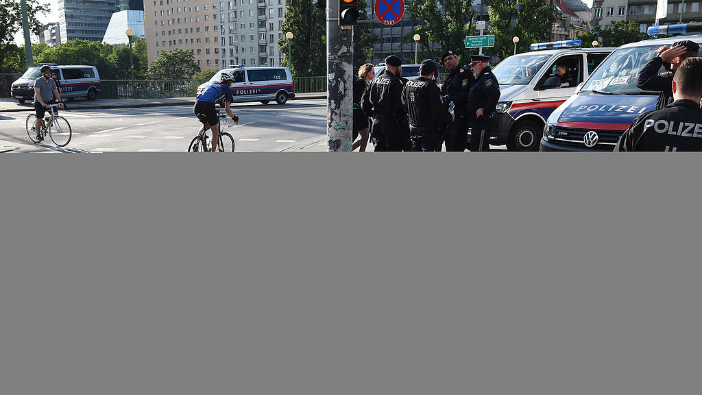 Klimastreik, Wien, Polizei