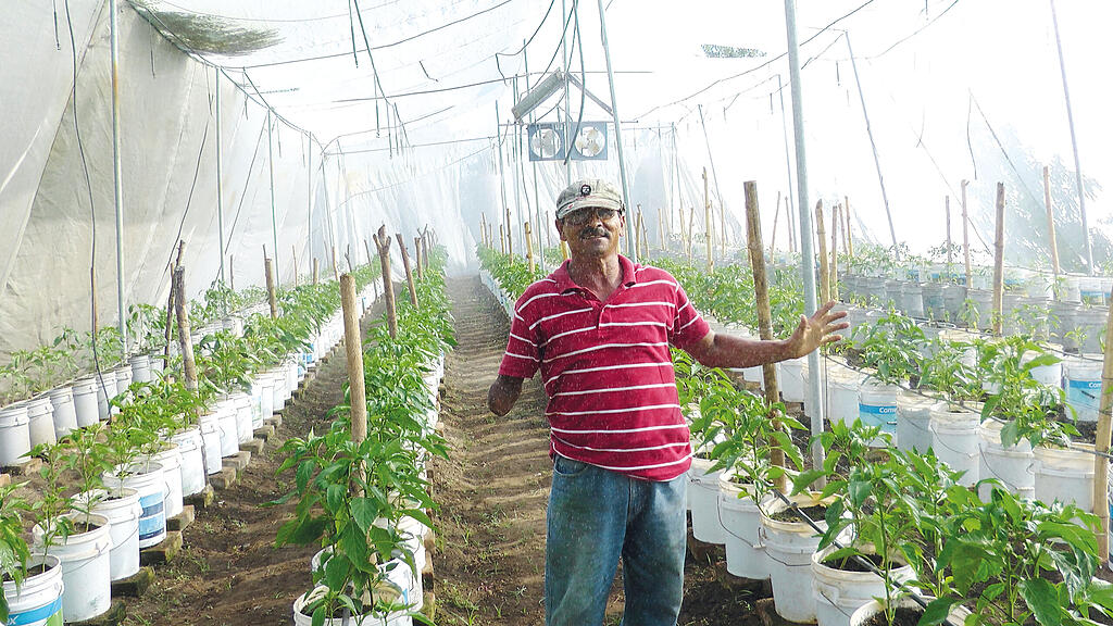 El Salvador, Entwicklungszusammenarbeit