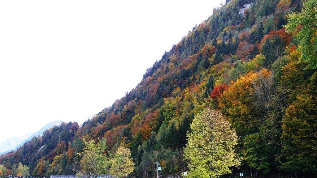 Goldener Herbst am Wolfgangsee