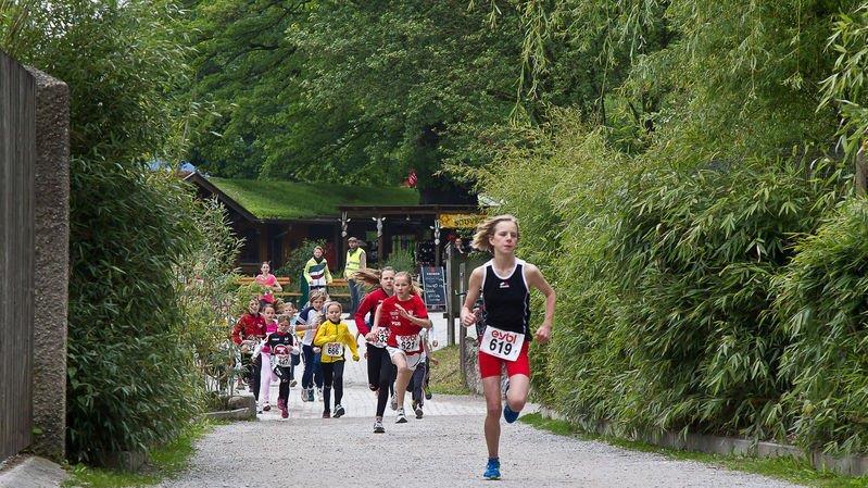 1. Salzburger Zoolauf