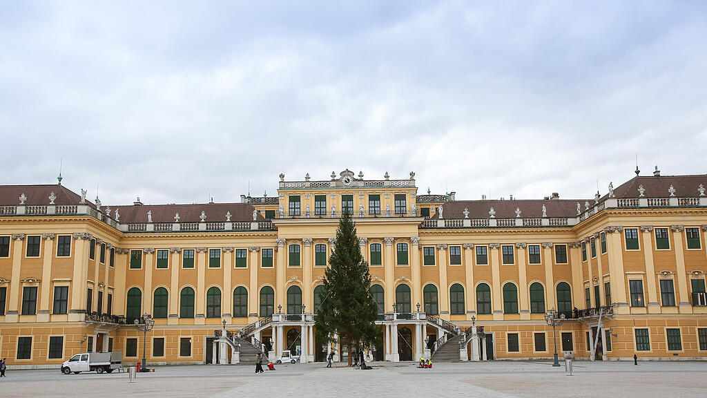 christbaum schönbrunn