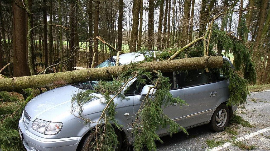 Niklas: Baum an L207 stürzt auf Pkw