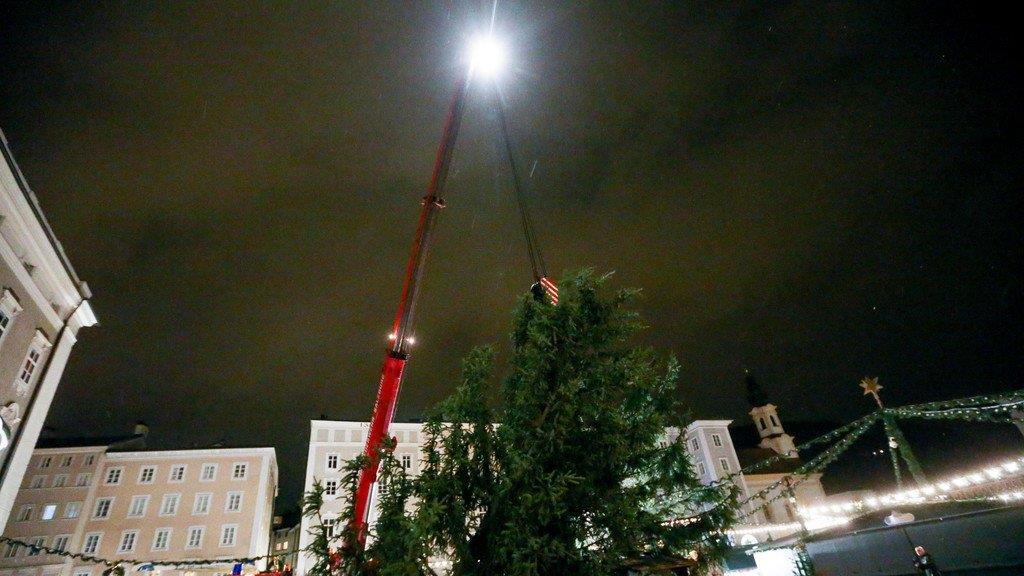 Windböe fällt Christbaum