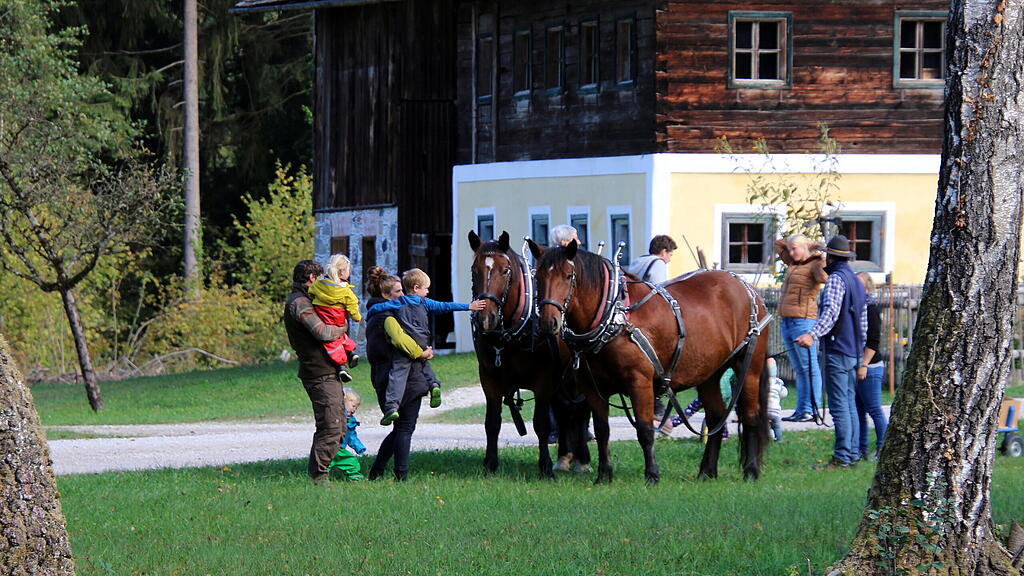 Rosserertag und Handwerksvorf\u00fchrungen