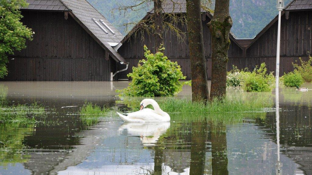 Hochwasser in Ebensee, II