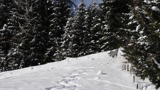 Traumwetter im Pongau