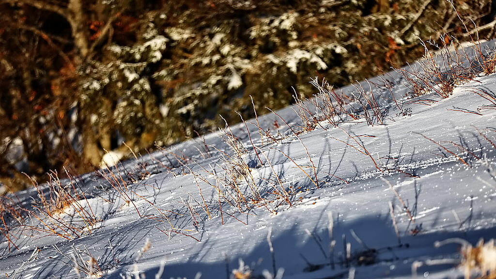 Wanderung über verschneiten Gaisberg