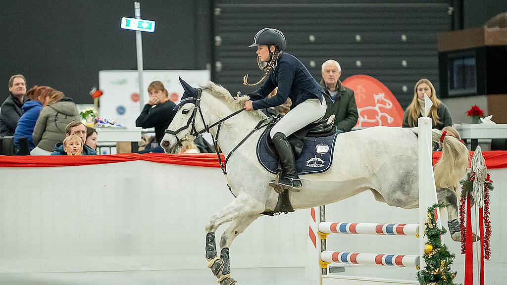 Amadeus Horse Indoors 2023