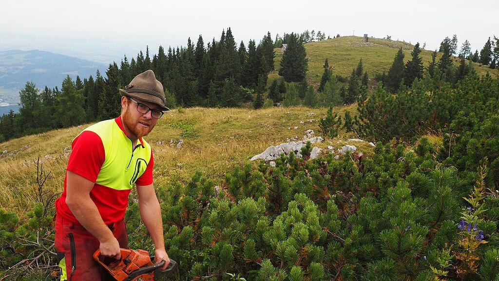 Arbeiten für Rinderherde am Salzburger Untersberg