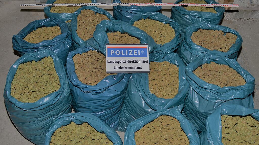 100 Kilogramm Cannabis in Tirol sichergestellt